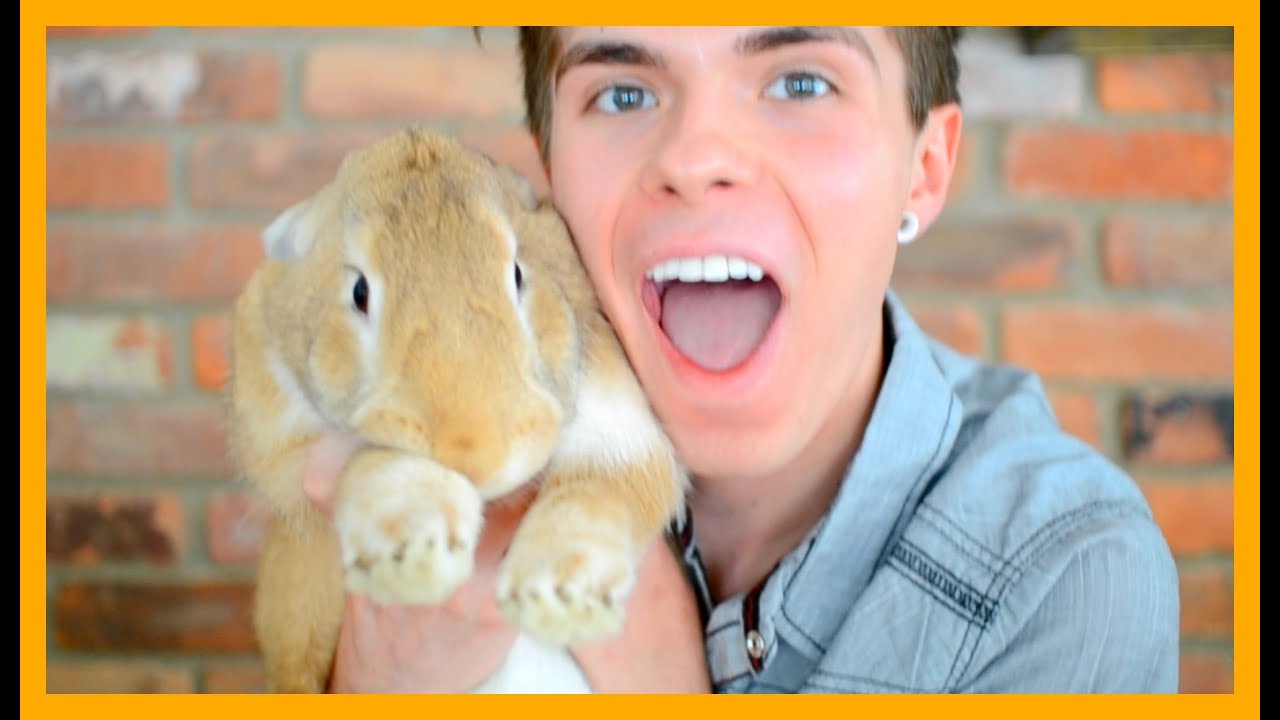 Desmond The Giant Bun!!!