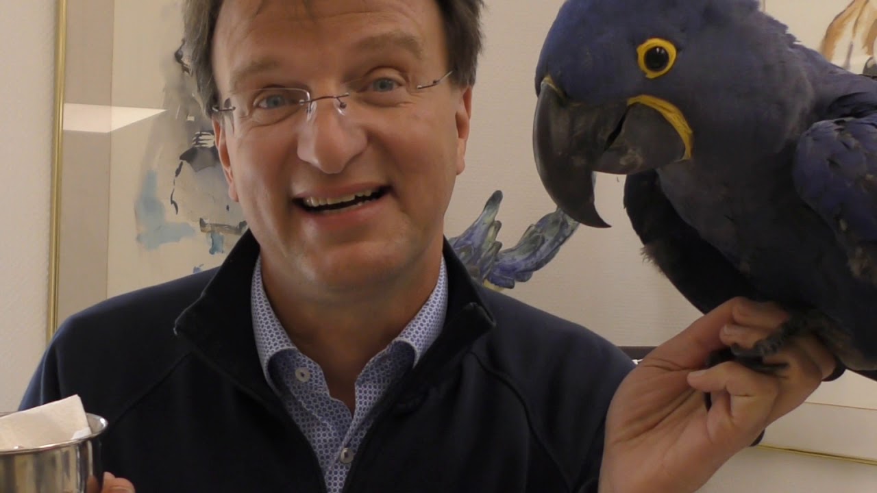 Zoo-Einblick 16:  Vogelnachwuchs