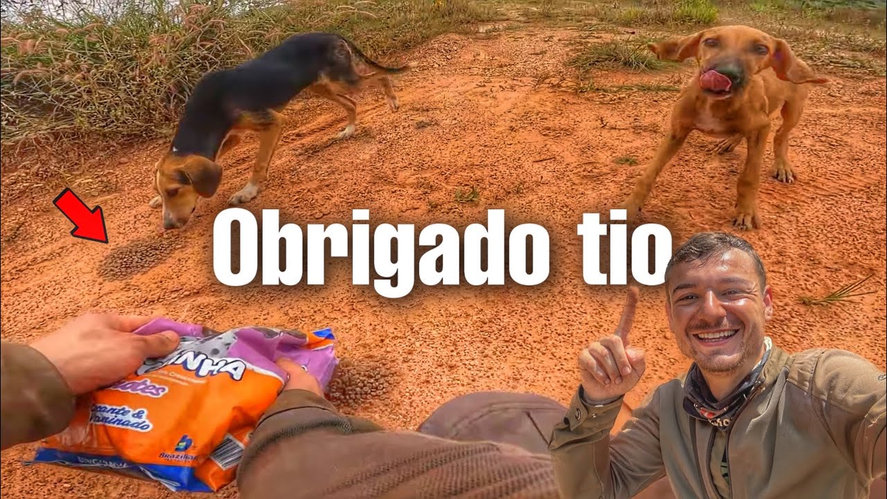 T02Ep11 Chegamos em Juruena no estado do Mato Grosso!