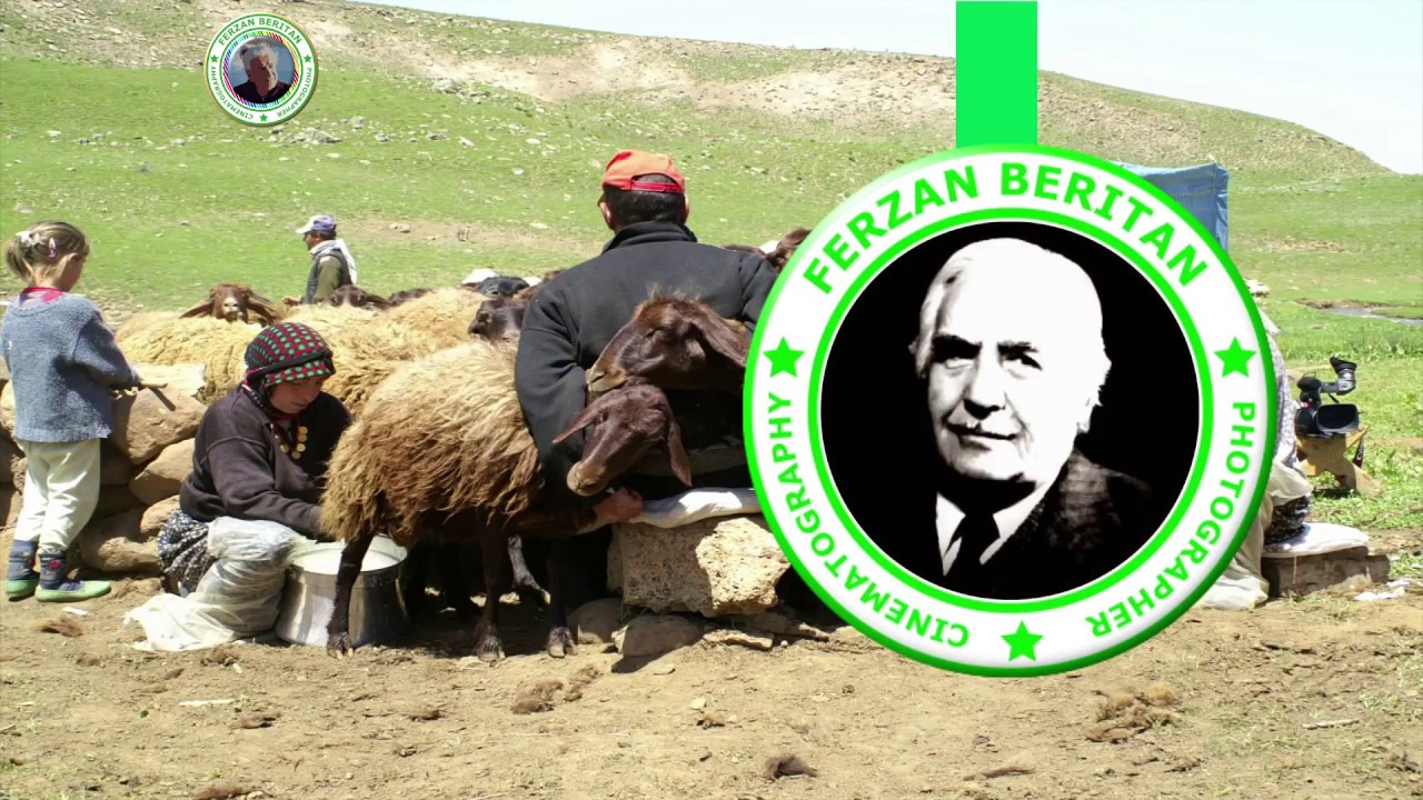 #Berti #Warger #Kurdishmusic #Denbejlik