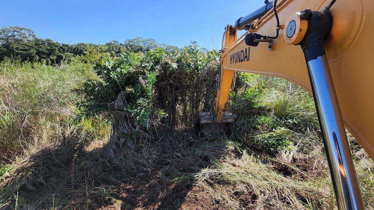 LIMPANDO &Aacute;REA DE PASTO ABONDONADA 😳 - Escavadeira hidr&aacute;ulica