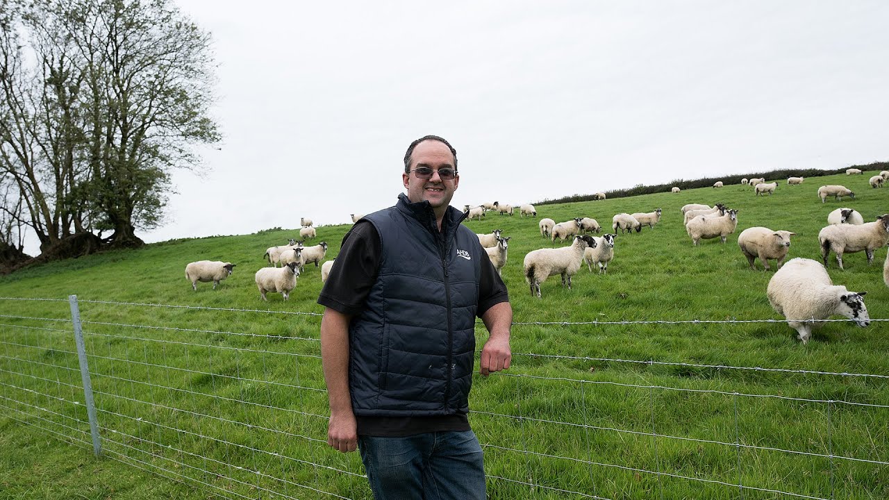AHDB B&L: Cornwall Strategic Farm - Improving Grass Growth by Understanding Soil Health
