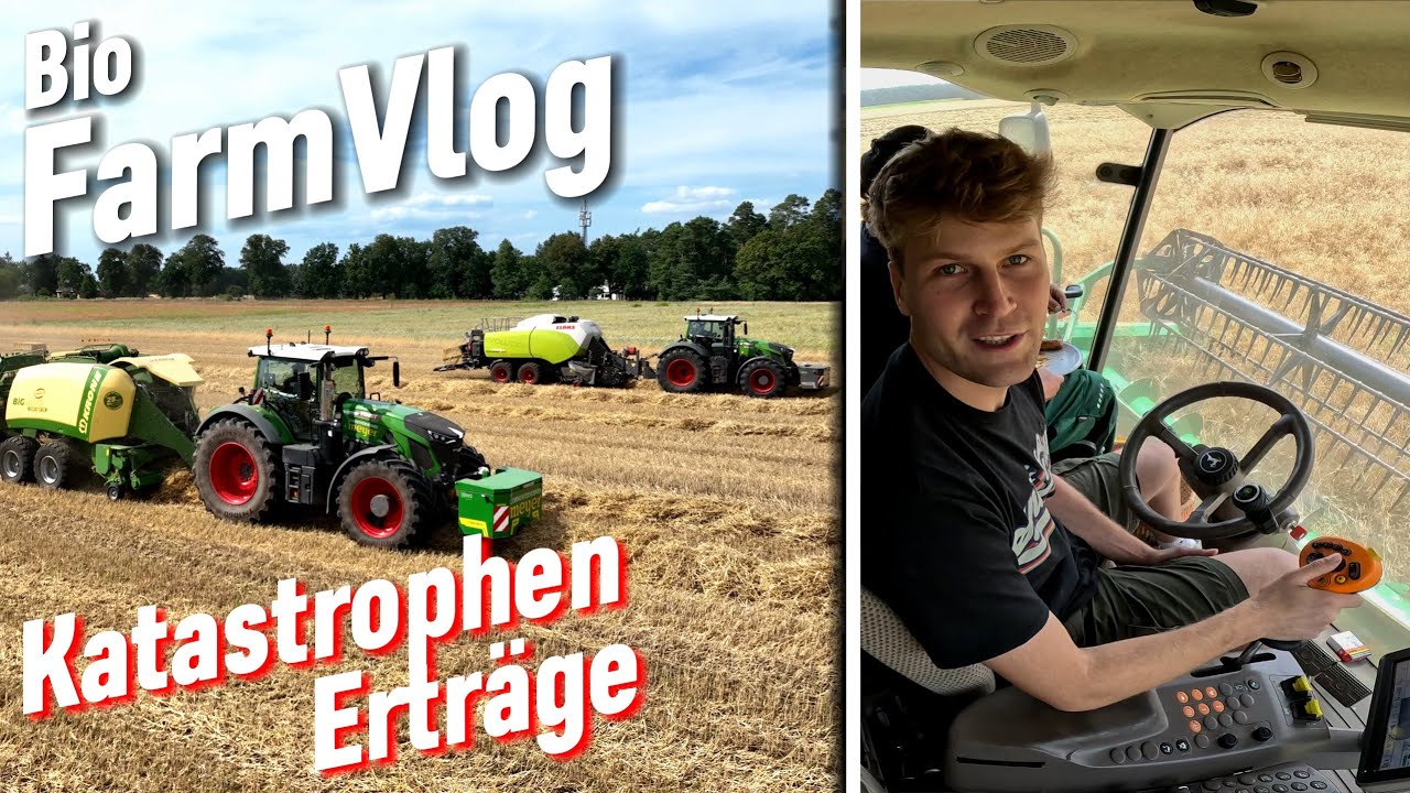 Roggen ist ab & Dinkel ist eine Katastrophe..Krone Presse besser als Claas? / Vlog 111