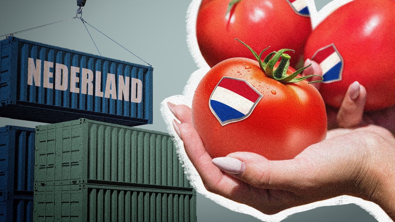 Cómo Países Bajos alimenta al mundo
