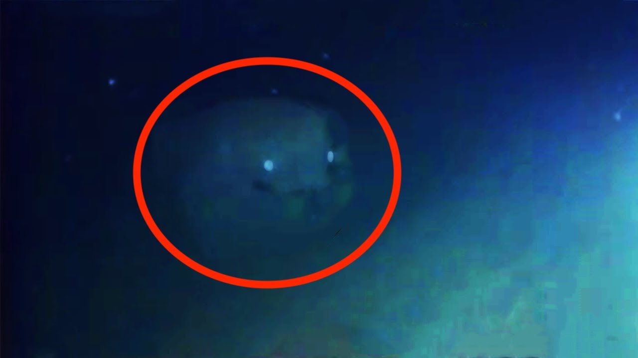 8 Mysteriöse Unterwasser Kreaturen mit der Kamera eingefangen!