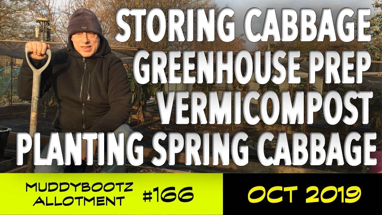 MuddyBootz Allotment #166 - Vermicompost - Spring Cabbage Planting - Greenhouse Tidy up
