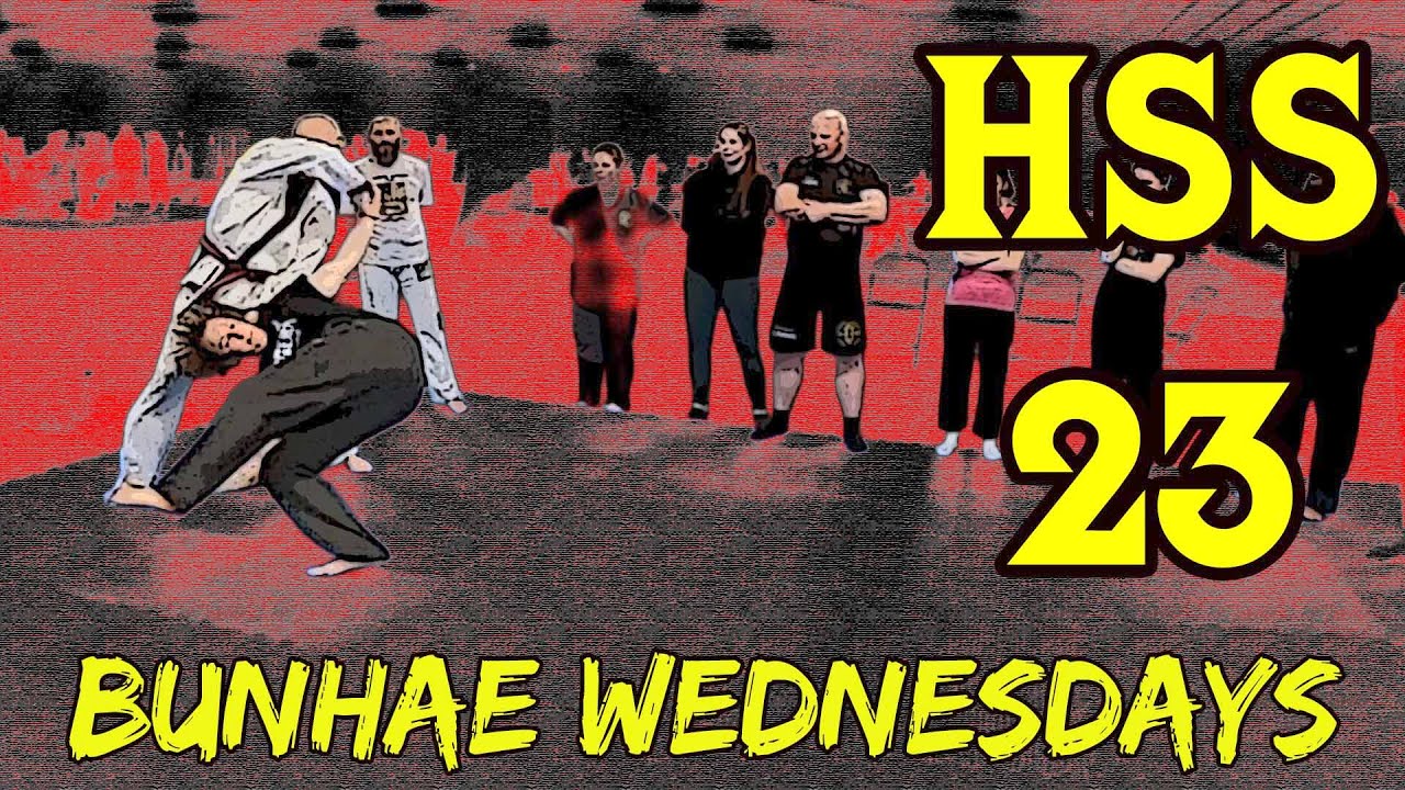Bunhae Wednesdays - Ho Sin Sul 23  (Pyung Ahn Sah Dan) Double High Knife Strike