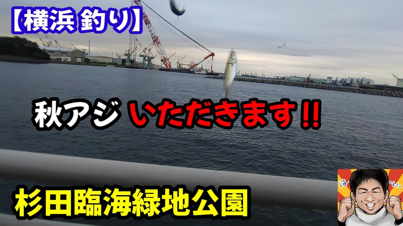 【釣り】秋アジ先取り!!横浜のサビキ釣り。アクセス抜群、首都圏の釣り場でトリックサビキ！そしてタチウオ調査も‼杉田臨海緑地公園です！