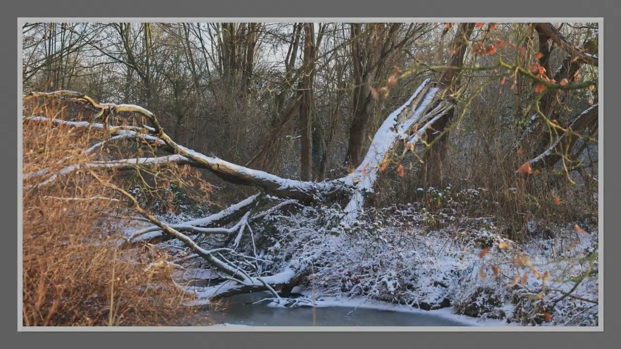 Vrijbroekpark