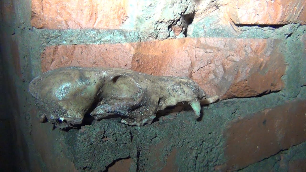 Luftschutzstollen Fuchsbau | Underground Exploring - Urban Exploration - Lost Place
