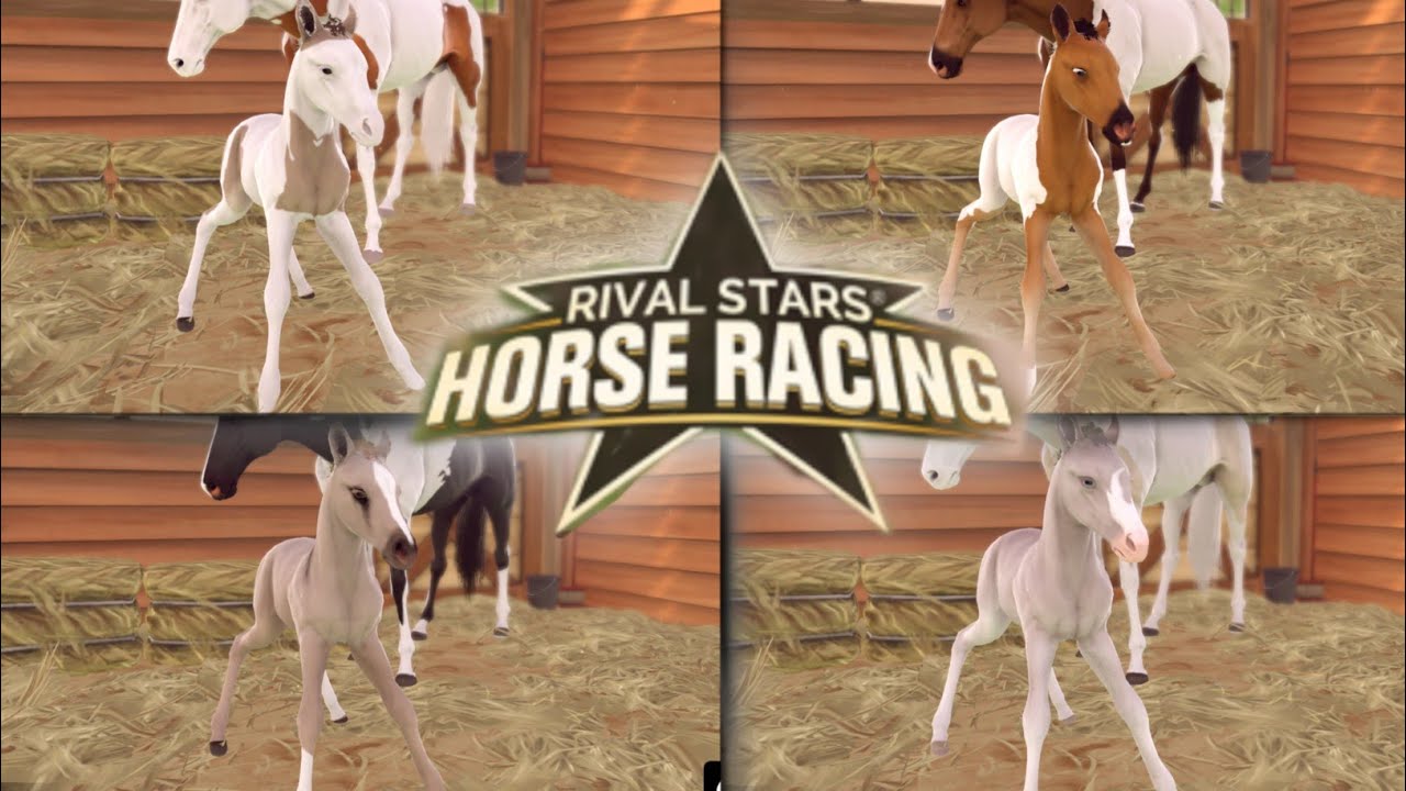 HODOWLA ŹREBAKÓW W RIVAL STARS HORSE RACING! CZ.5