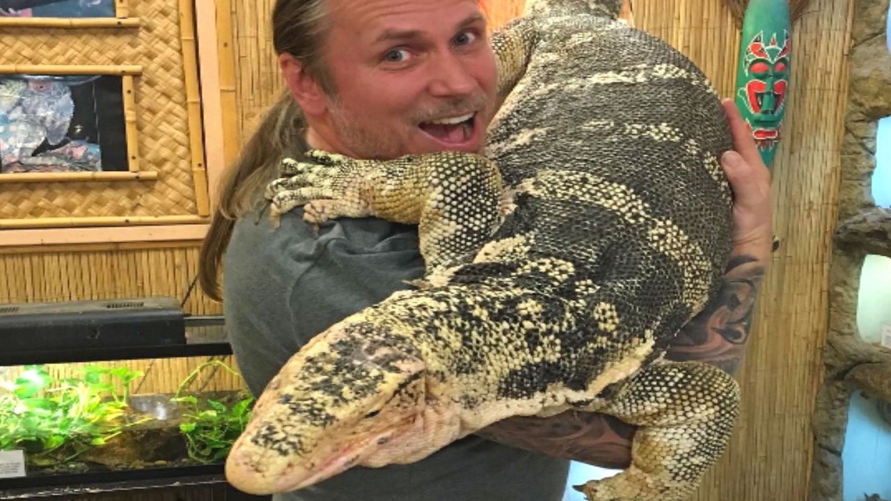 LARGEST LIZARD IN THE WORLD!! SnakeBytesTV