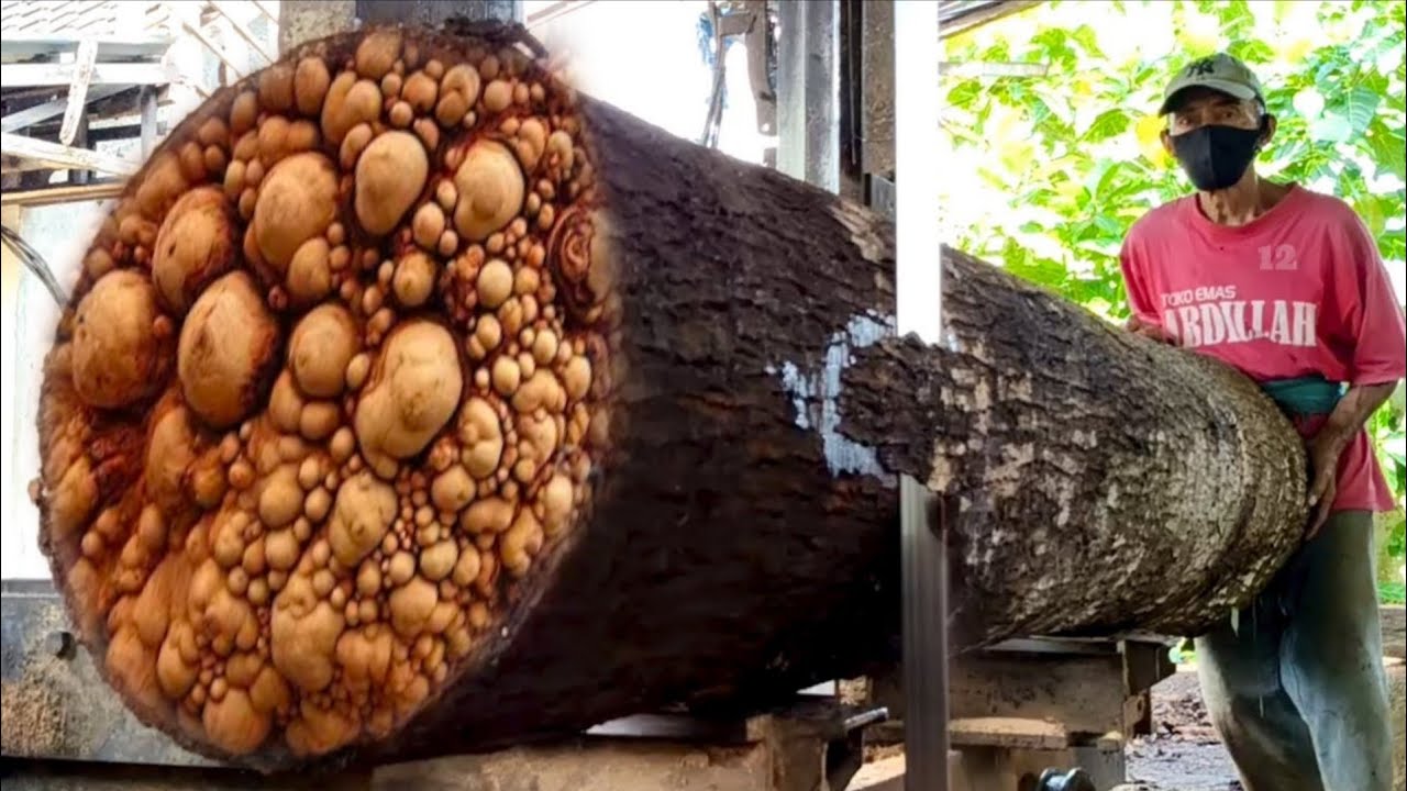 A beautiful monster wood find at the sawmill 