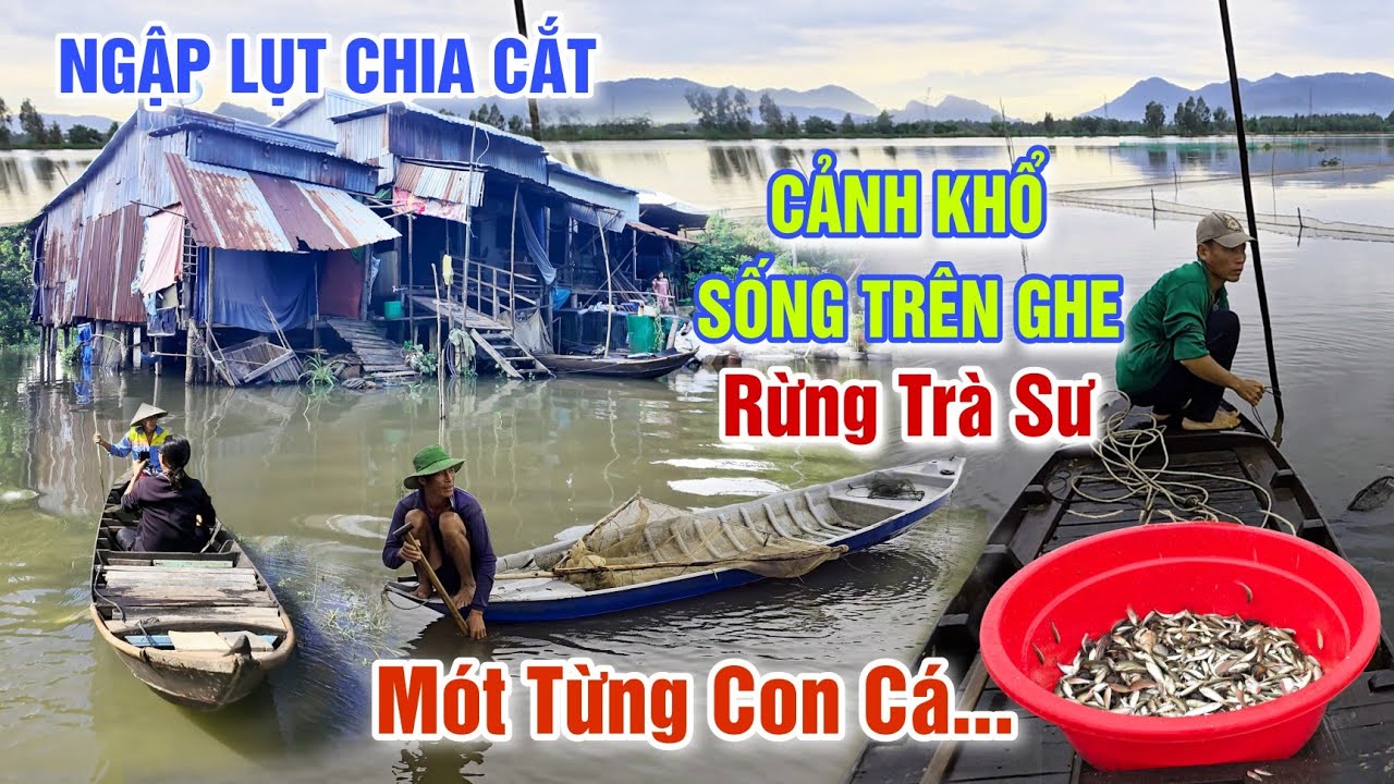 NƯỚC LŨ THƯỢNG NGUỒN DÂNG CAO NGẬP LỤT CHIA CẮT XÓM NHÀ - CẢNH KHỔ SỐNG TRÊN GHE MÓT TỪNG CON CÁ