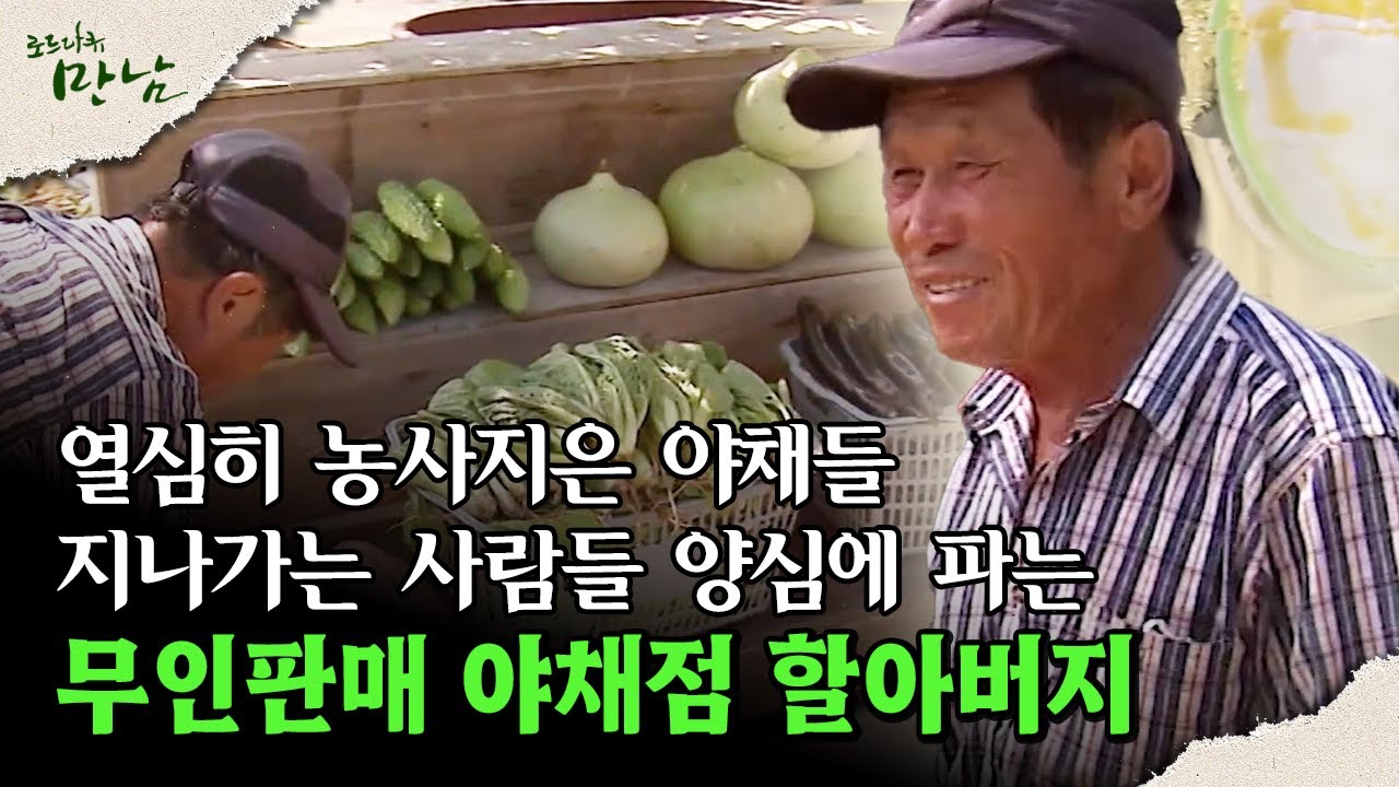 [로드다큐 만남 47회③] 열심히 농사지은 야채들 지나가는 사람들 양심에 파는 무인판매 야채점 할아버지