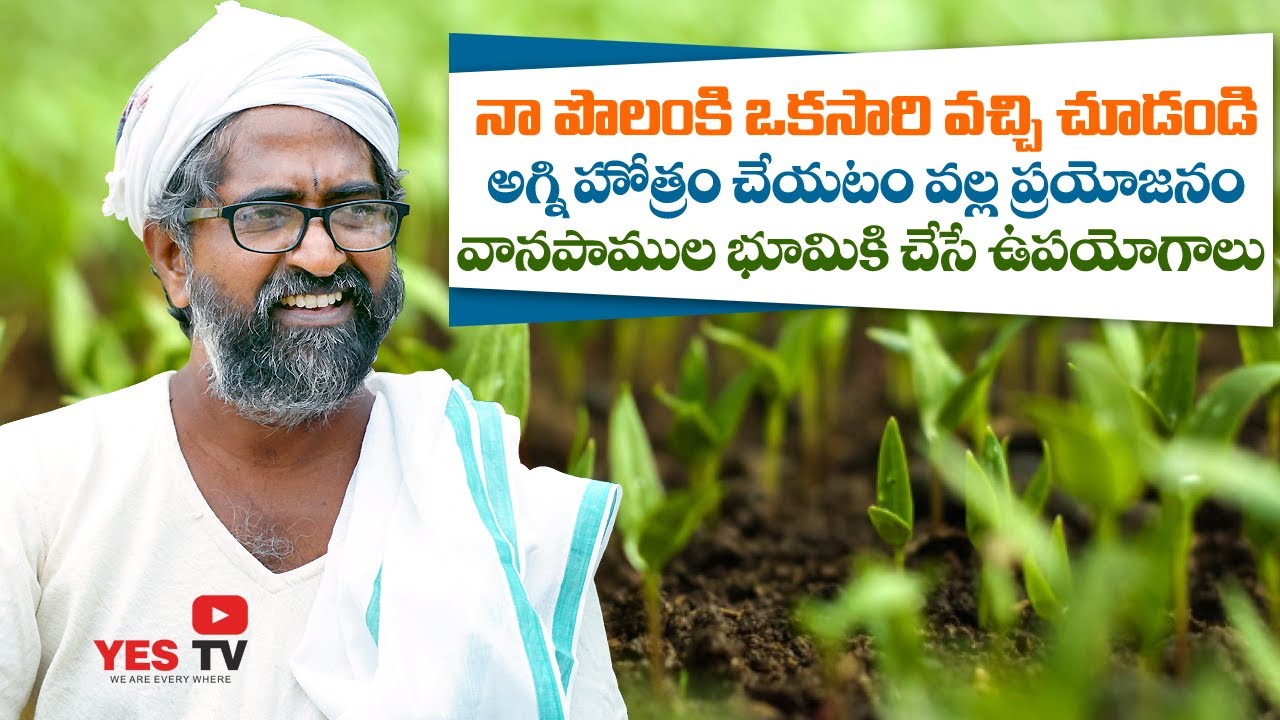 నా పొలంకి ఒకసారి వచ్చి చూడండి||అగ్ని హోత్రం చేయటం వల్ల ప్రయోజనం||వానపాముల భూమికి చేసే ఉపయోగాలుYes Tv