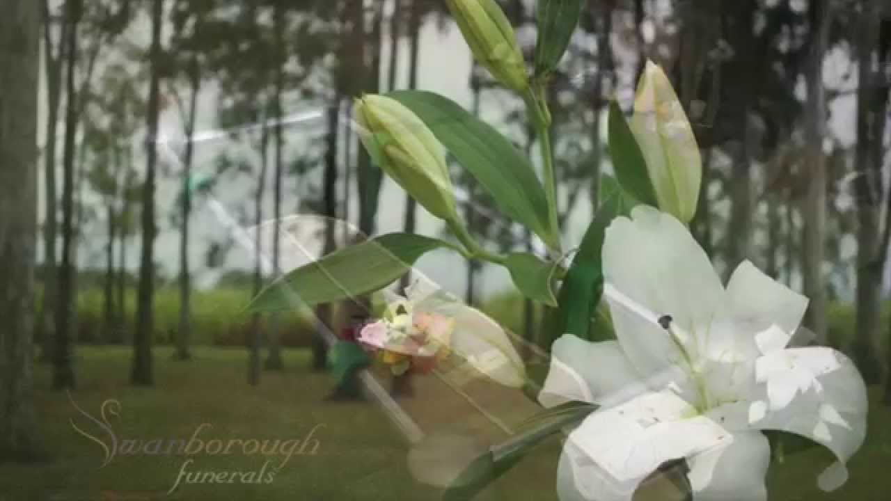 Queensland's First Green Burial
