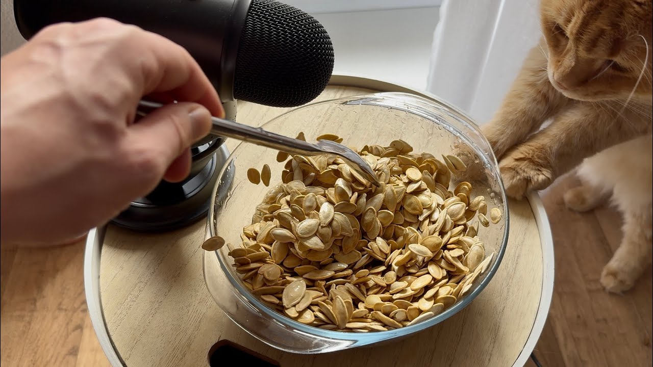 ASMR Pumpkin Seeds 1 HOUR for Sleep 🌝🎃