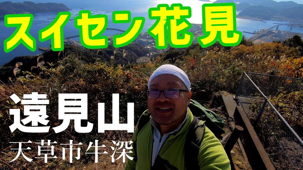 【遠見山】1月はスイセンが見ごろ🌼【2025年12月28日】