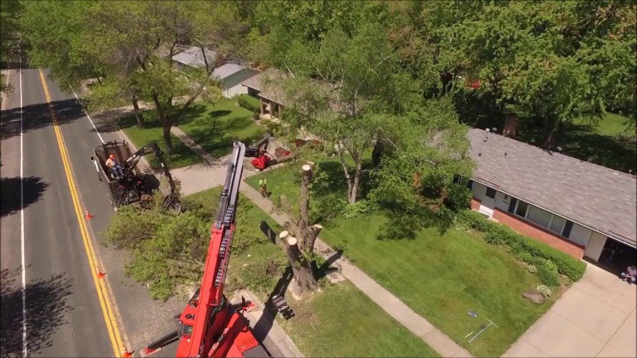 MANITOU TELEHANDLER AĞAÇ BUDAMA / TREE CUTTING