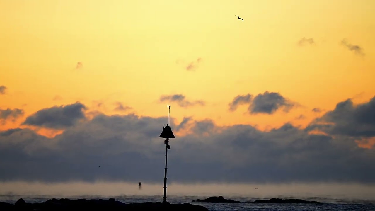 Sea Smoke Hampton (Jan 24, 2026)