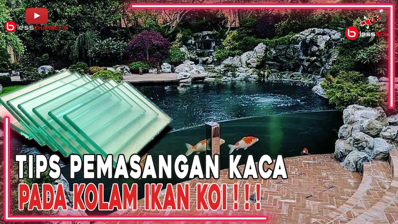 TIPS PEMASANGAN KACA PADA KOLAM IKAN KOI ❗❗❗