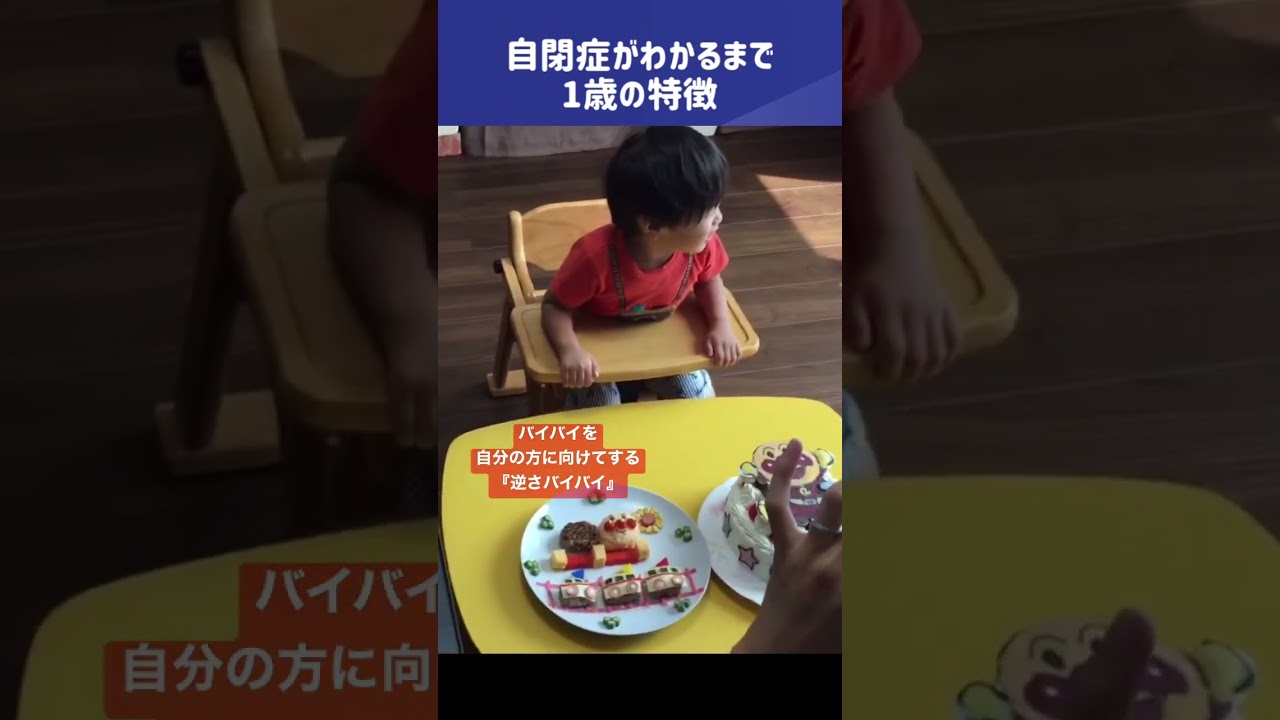 【1歳の自閉症の特徴が分かりやすくでている動画】バイバイの違い