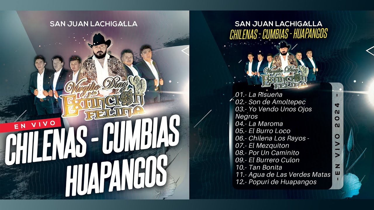 ✔ CHILENAS, HUAPANGOS y CUMBIAS - ♬ Mix 2024 - ❤ VIRGILIO DIAZ Y SU EXTINCION FELINA [ En Vivo ]