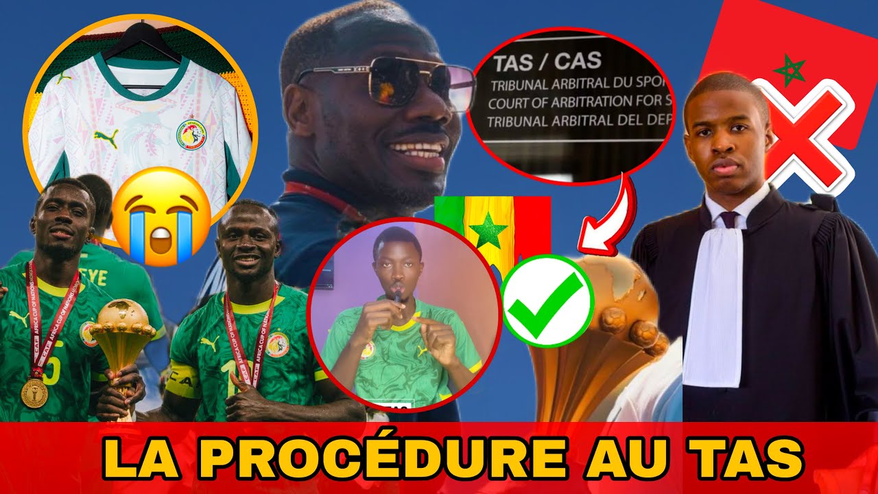 🚨procédure Senegal au Tas , un avocat croit la victoire ✌🏾, 