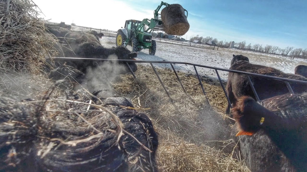 Farming on the North Pole