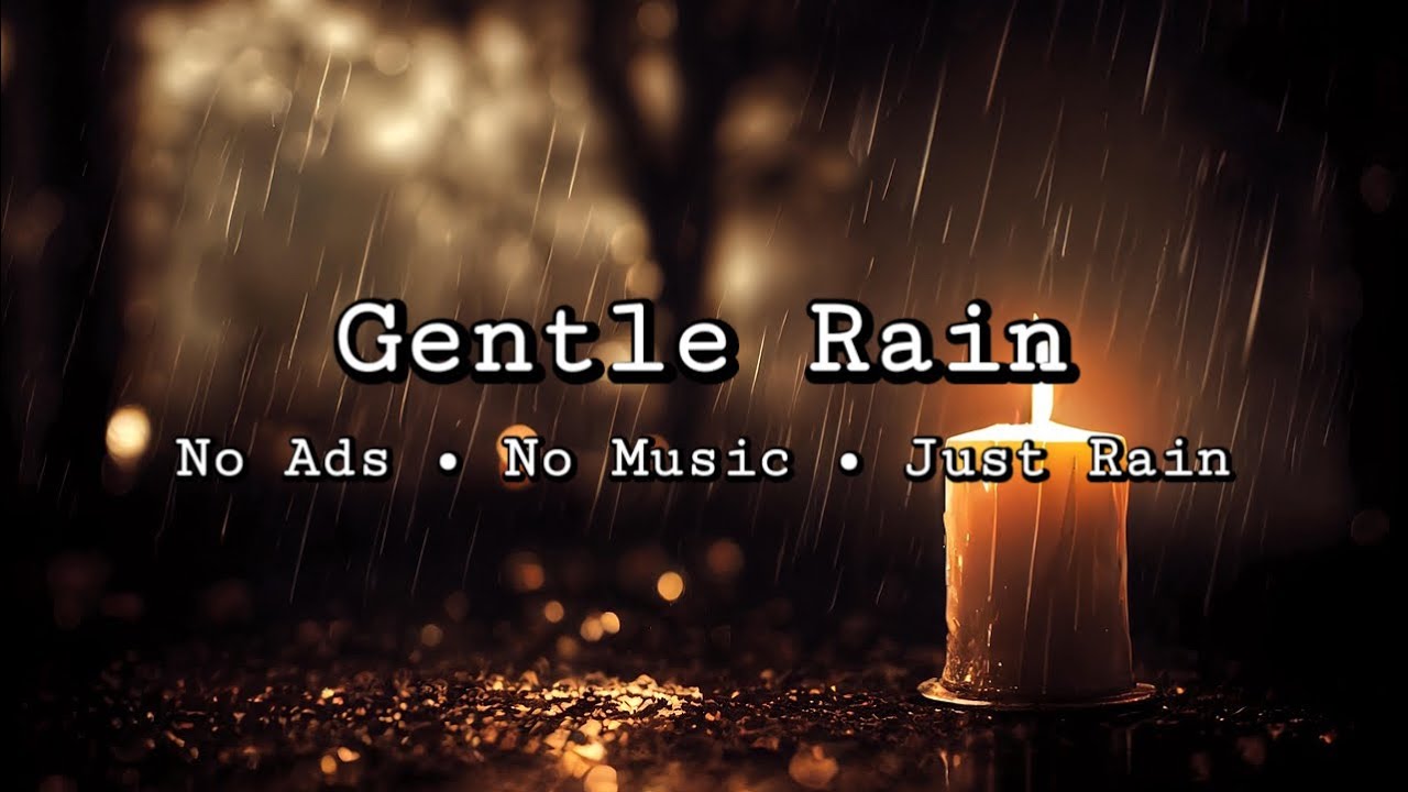 Rainfall for Deep Sleep | 3 Hours of Pure Rain Sounds | No Music