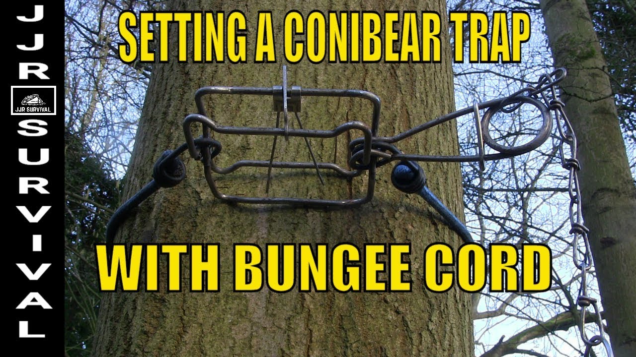 HOW TO SET A CONIBEAR TRAP WITH BUNGEE CORD
