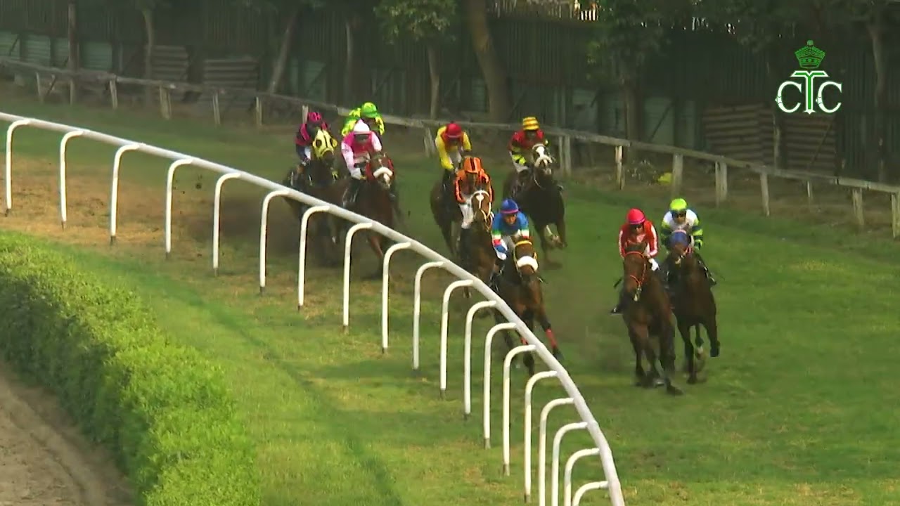 Race No 140 The Royal Blue Star Handicap Div - I