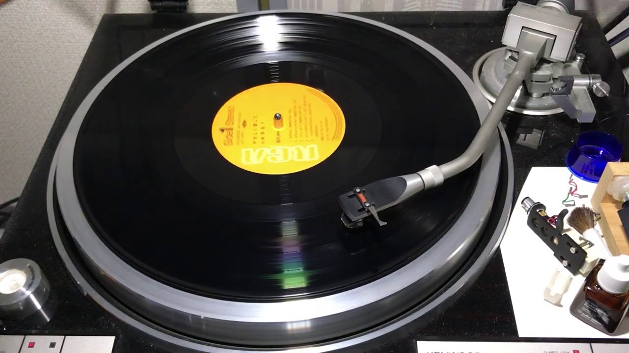 Tomoko Souryou - Yasashiki Aishite vinyl