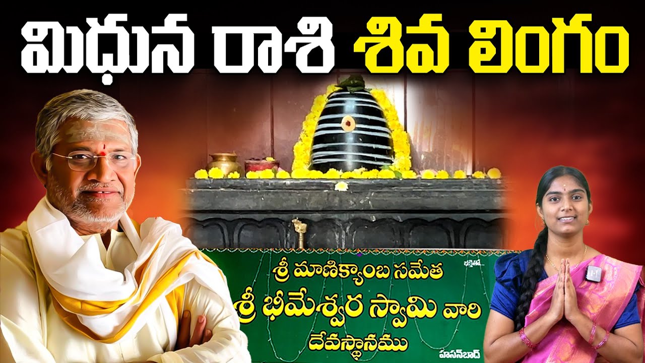 మీ జాతకంలొ ఉన్న దోషాలన్నీ తొలుగుతాయి | Zodiac Shiva Linga |  Tanikella Bharani | @SriSthuthiTv