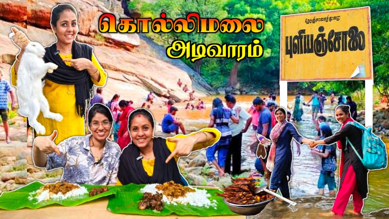 💯💥புளியஞ்சோலை காட்டுக்குள்ள தரமான முயல் கறி வேட்டை😍🔥| Media பட்டதாரி #kollihills #puliyancholai