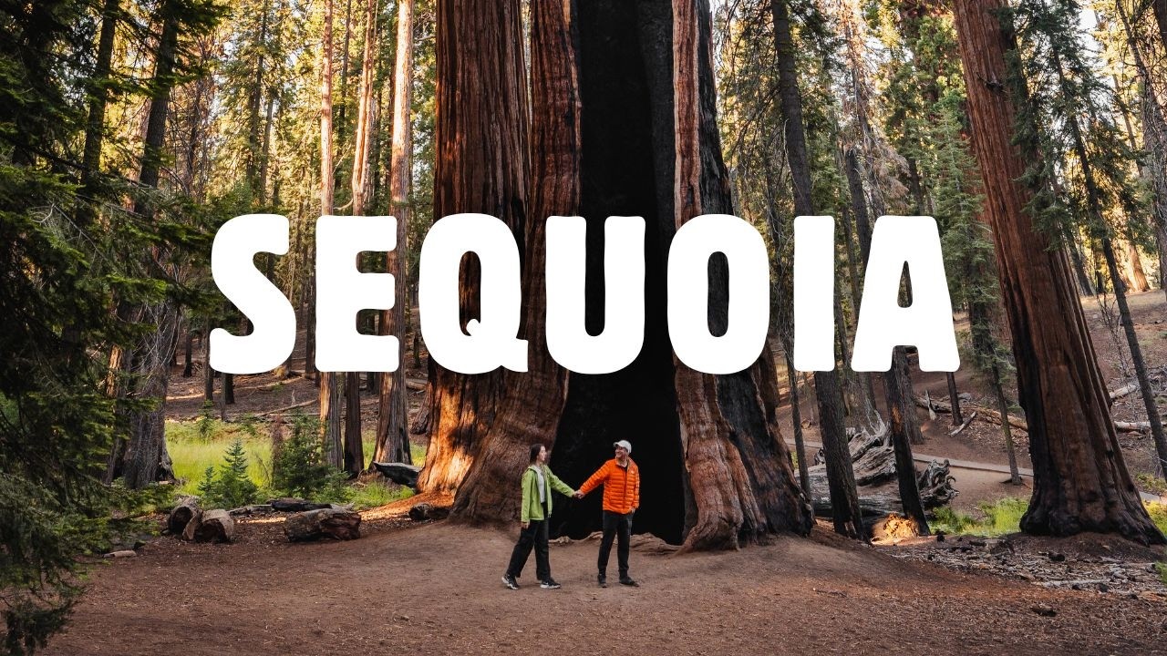 Los árboles MÁS GRANDES del MUNDO 😱 Parque Nacional Sequoia Guía de Viaje