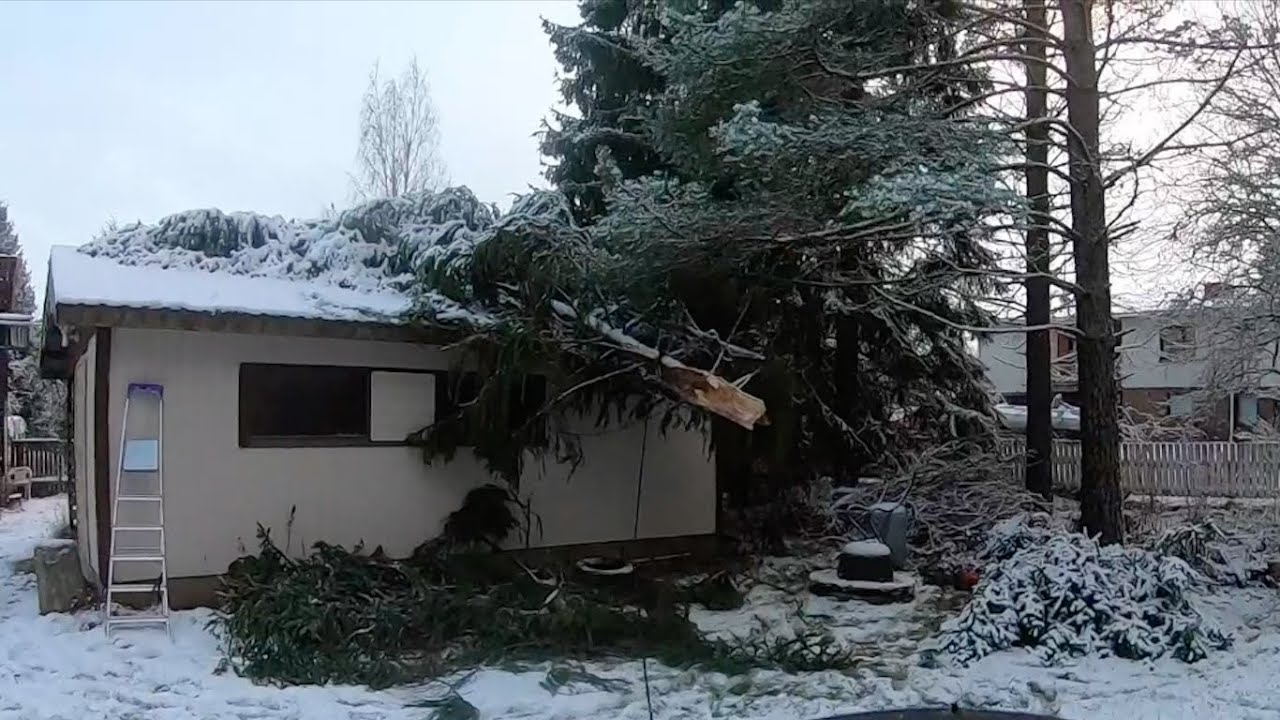 Voihan rähmä, nyt on vakuutusyhtiön ukolle töitä. The insurance company got the job.