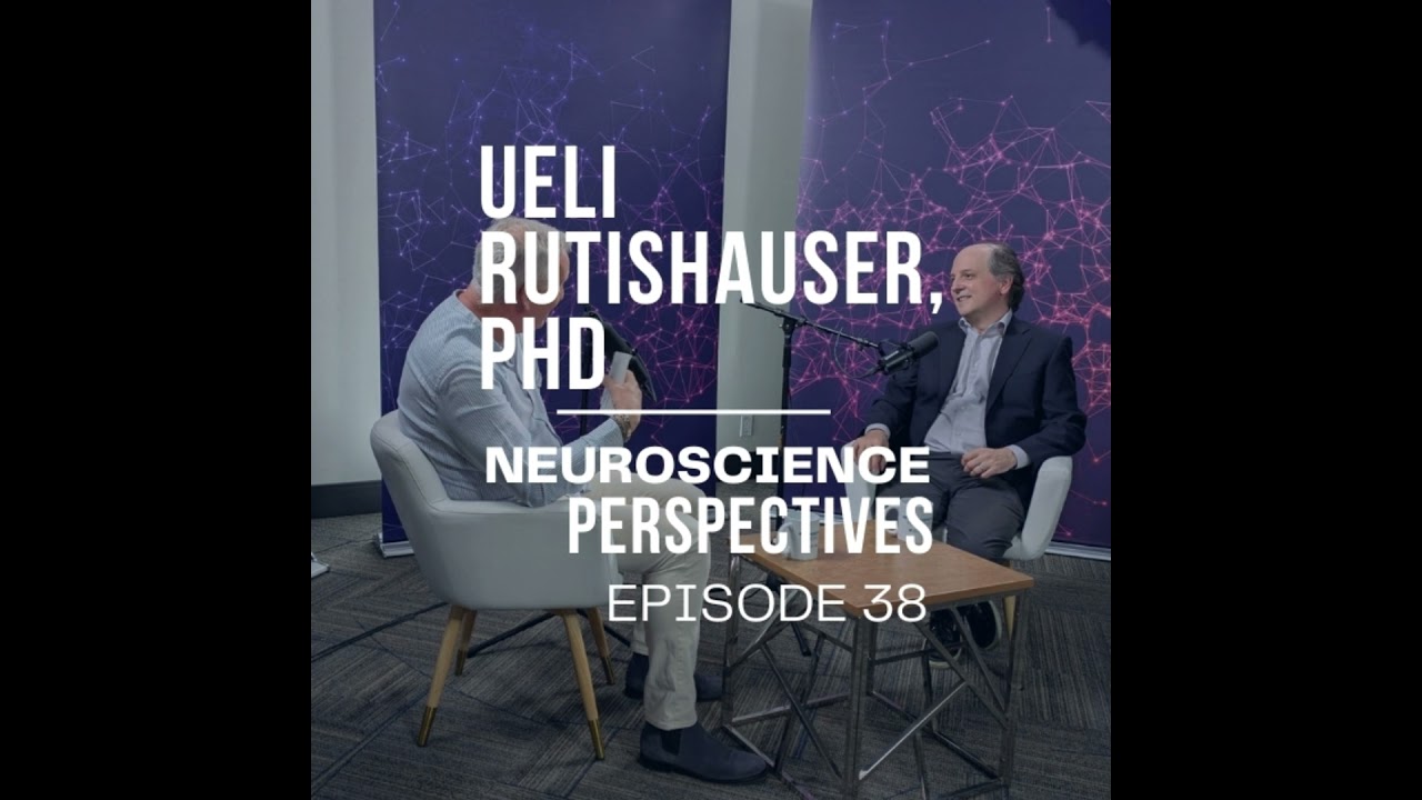 Neurons Don't Work Alone: What Neuroscientists Know About Memory Formation