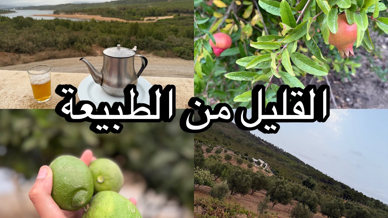ميني فيديو بدون عنوان 😇