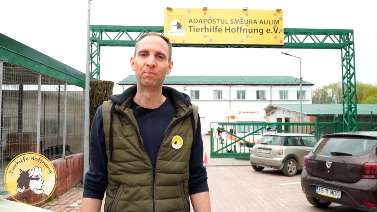 Kleiner Rundgang durch die Smeura im April 2021 - Tierhilfe Hoffnung