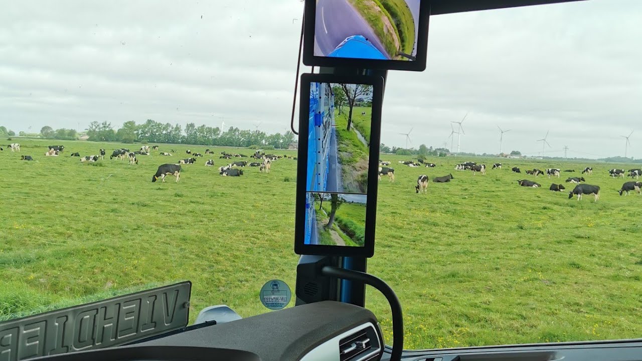🤠Verladen im Moormerland 🤠