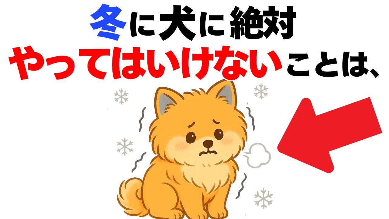 【超危険!!!】冬に犬に絶対NGな飼い主の行動１０選｜犬の厳選雑学