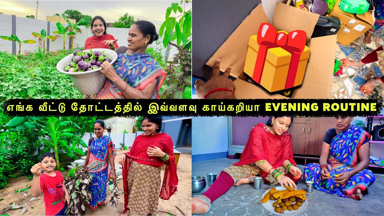 எங்க வீட்டு தோட்டத்தில் இவ்வளவு காய்கறியா 😍| Evening Routine 🤣| Vinoth Seetha