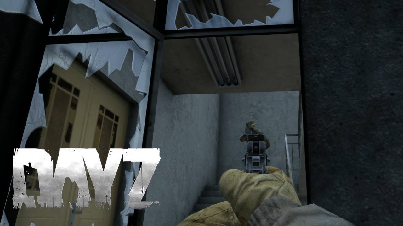 If You Had, One Shot... (DayZ)