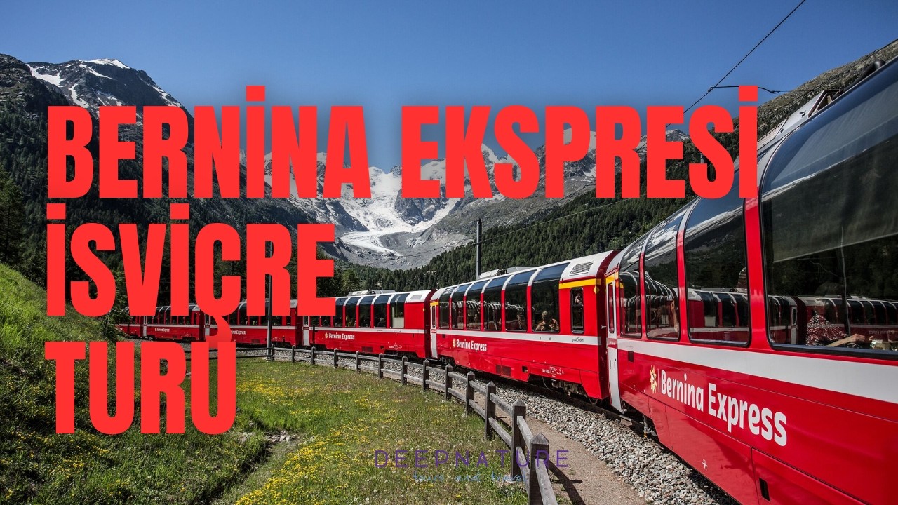 Bernina Ekspresi ve İsviçre Turu I DEEPNATURE TRAVEL