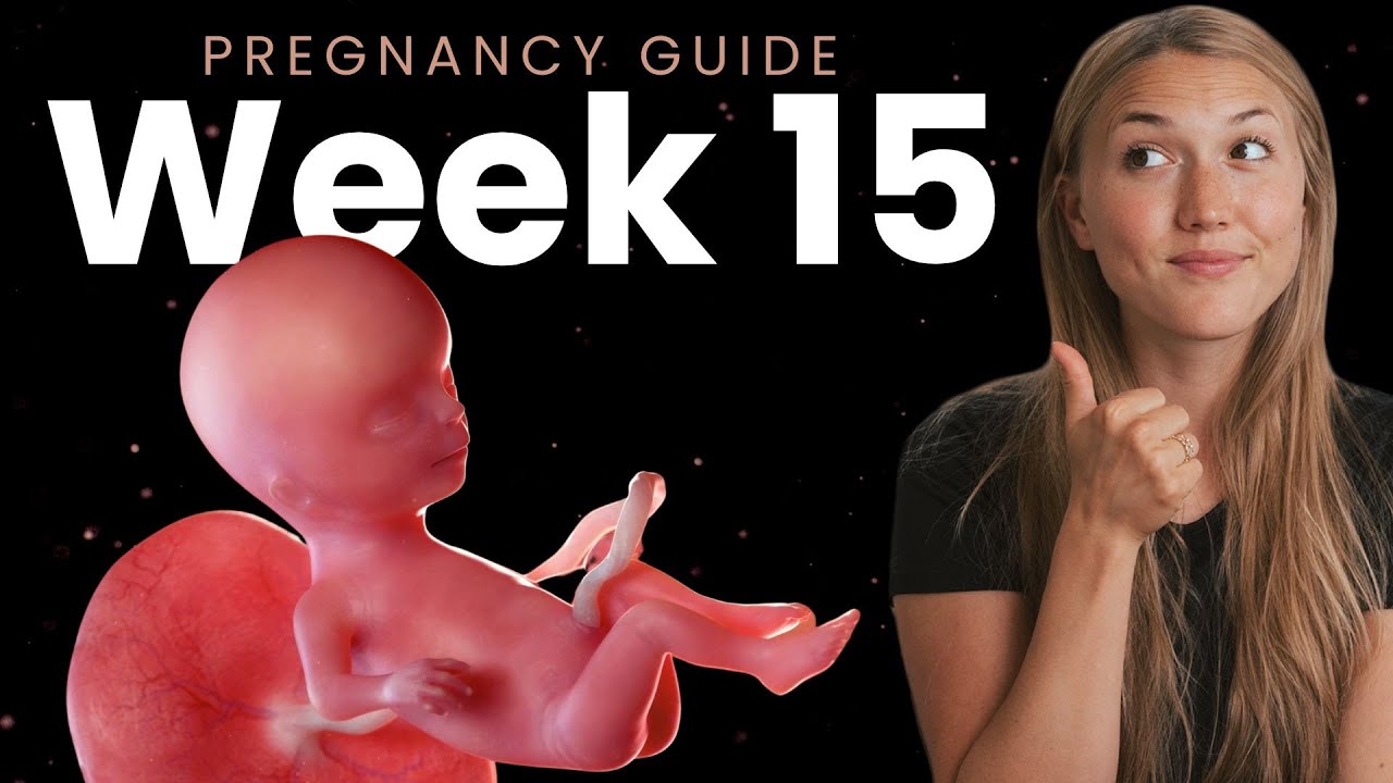 15 Weeks Pregnant | Week By Week Pregnancy
