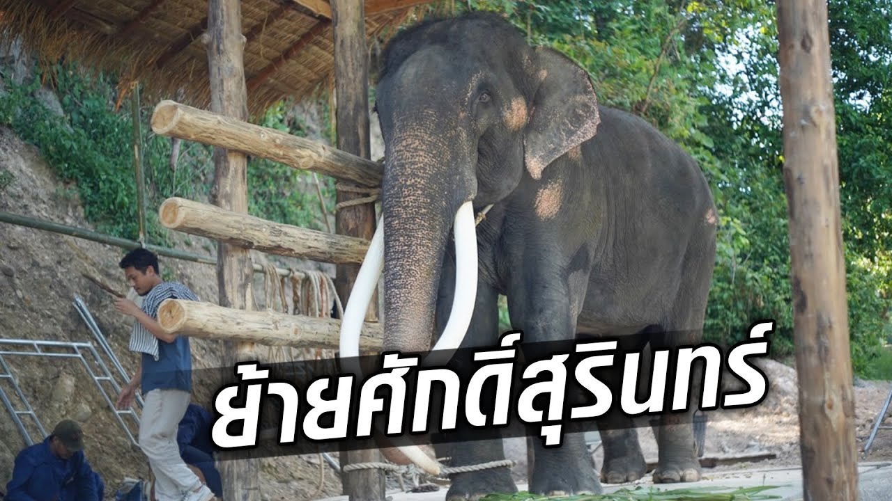 ย้าย