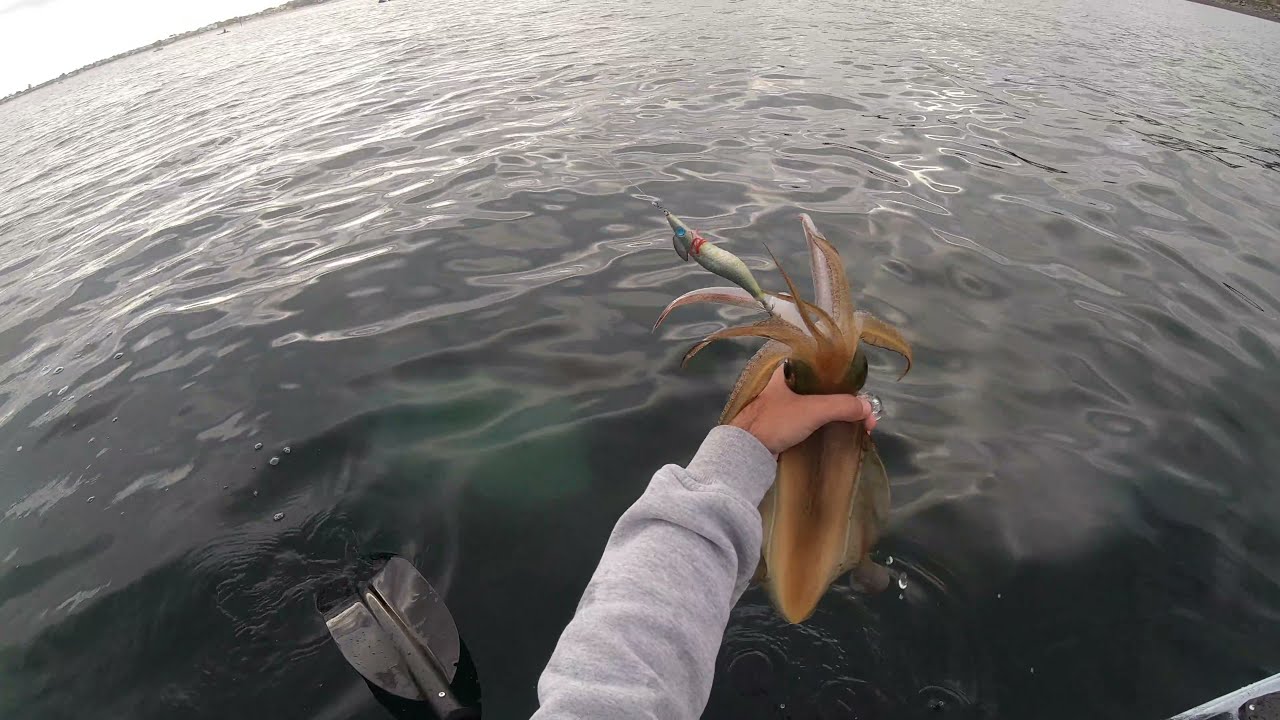 Seacliff Kayak Fishing for a Mixed Bag! Clear water! EP 1