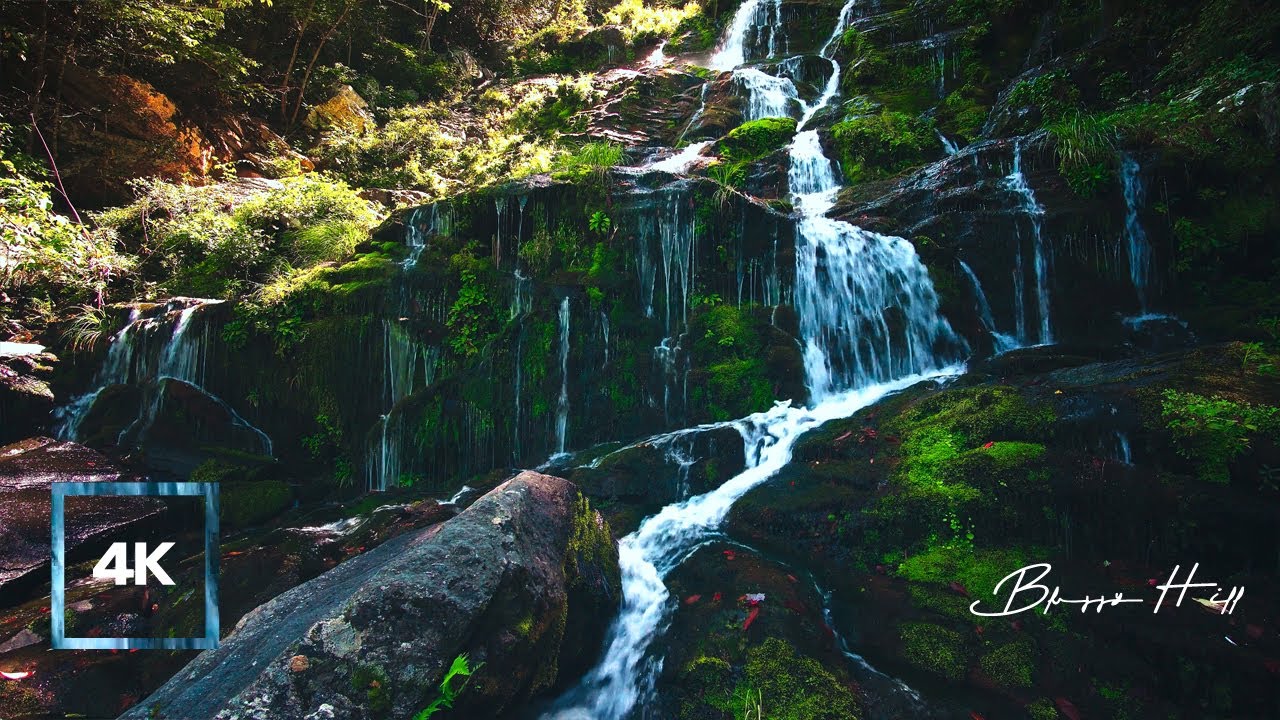 Relaxing Sounds of Waterfall and Birds’ SingingㅣNature Sounds for Sleep, Studyㅣ6 Hoursㅣ4K ASMR